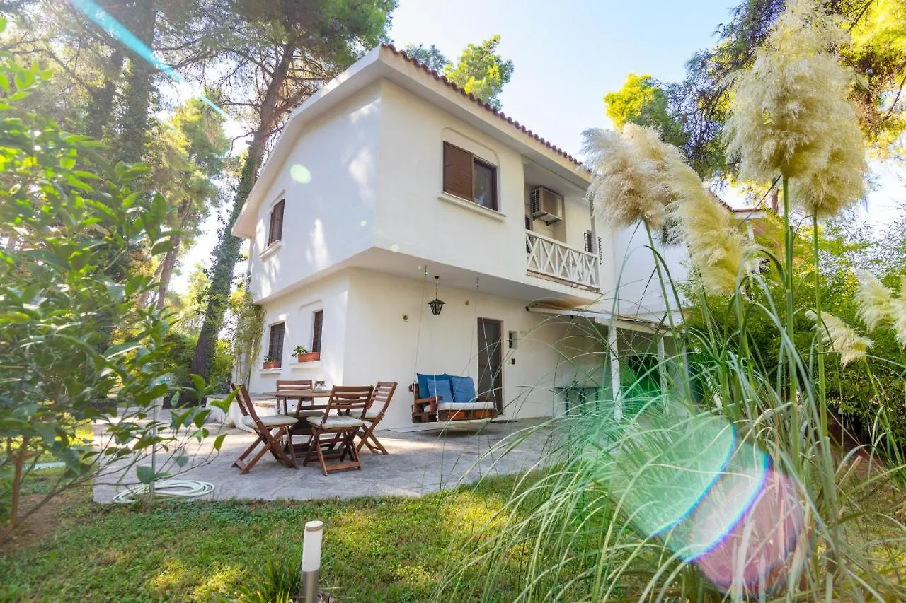 F & B Summer Villa Collection - Kassandra - Sani - Montagna Apartment