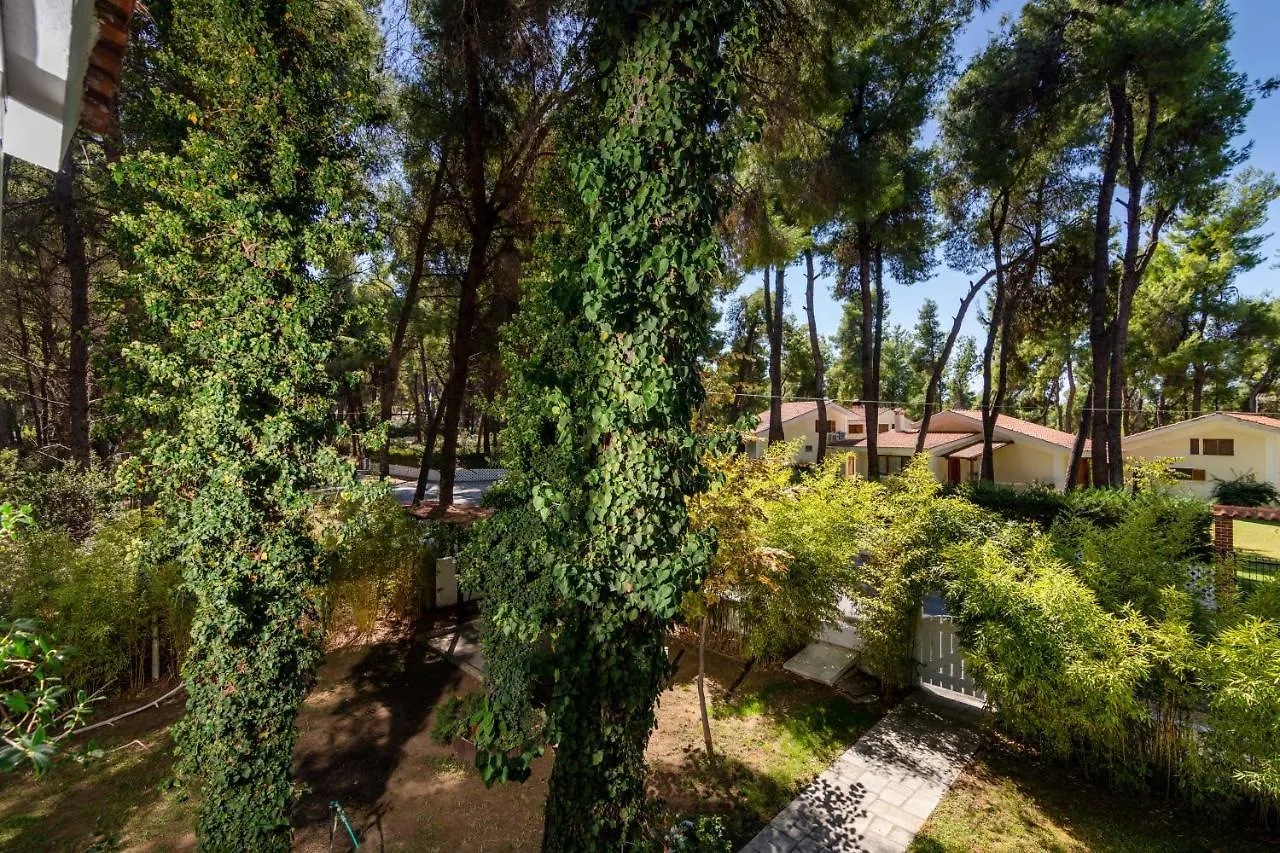 F & B Summer Villa Collection - Kassandra - Sani - Montagna Apartment